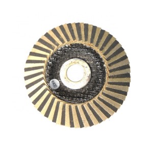 Fixed Competitive Price Zirconium Oxide Flap Disc - High performance diamond flap disc wheel for grinding granite – Tranrich