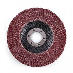 2022 High quality Abrasive Polishing Pads - Premium flap disc for removal and surface conditioning finishing polishing disc – Tranrich